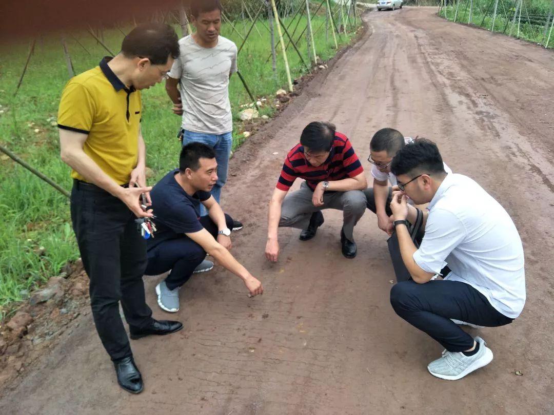 南平市交通局局长袁仁旺赴西郊村针对道路建设进行调研兴田镇圆梦村