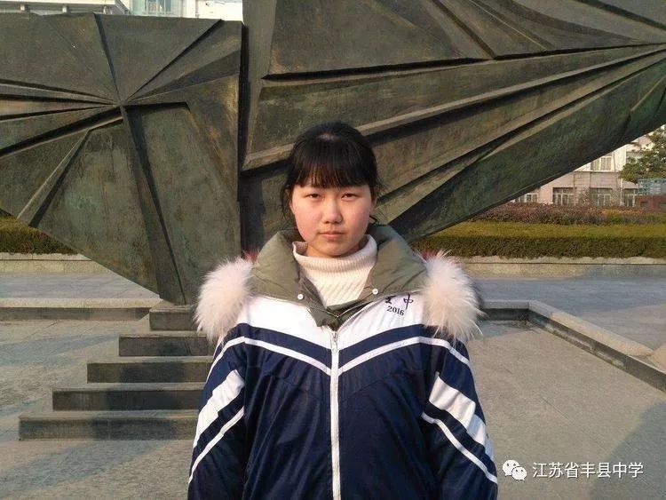 江苏省丰县中学创新教育成果展