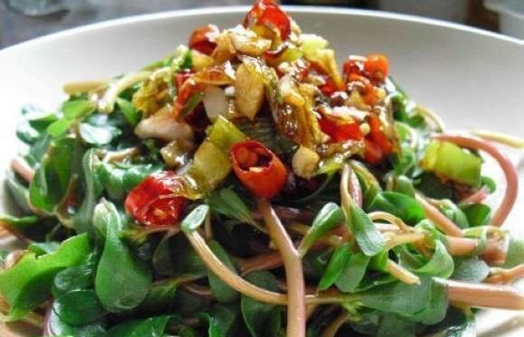 就来个碧绿清香,新鲜可口的风味小菜——凉拌马齿苋!