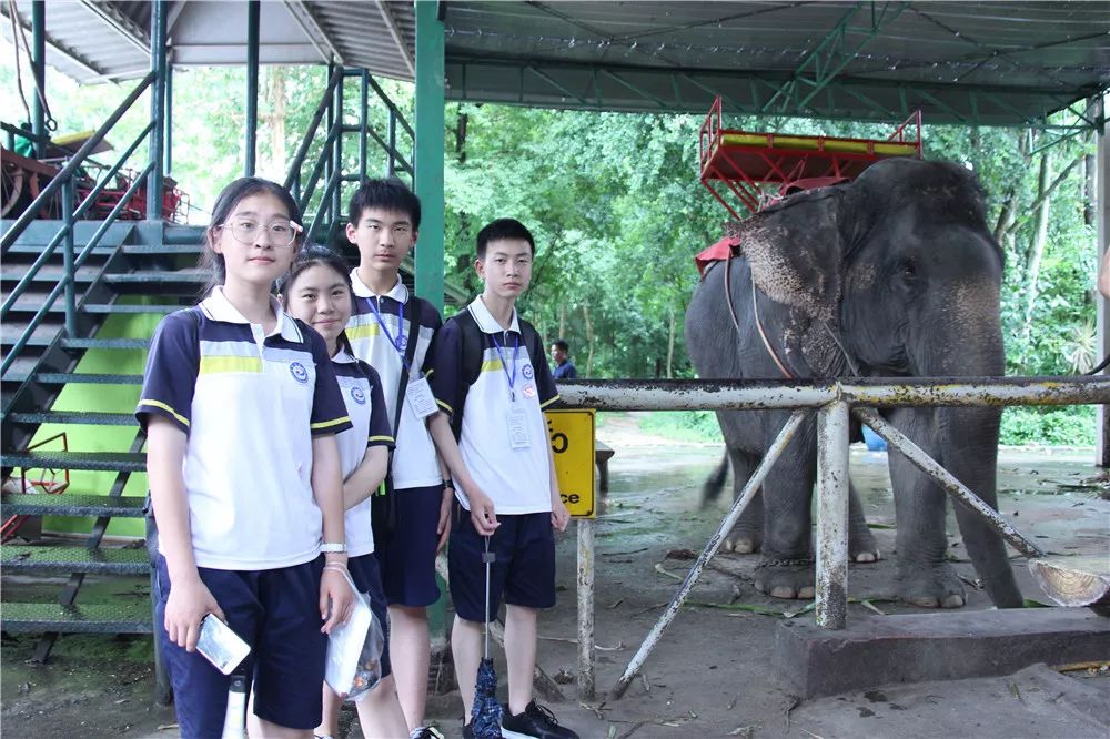 泰国交流|万中遇上易三仓,这个夏天太美好!