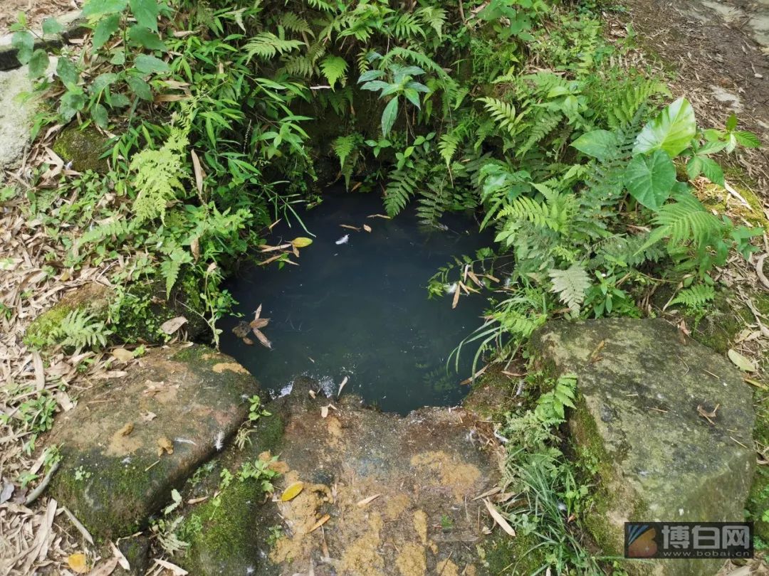 天空之眼瞰博白走进绿珠故里看尽双凤靓景点