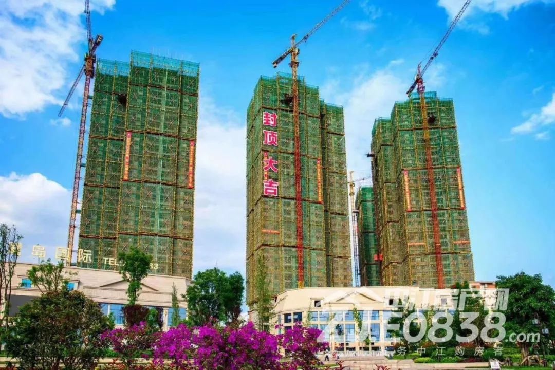 鹭岛国际为什么卖这么好?有人道出了原因._中江