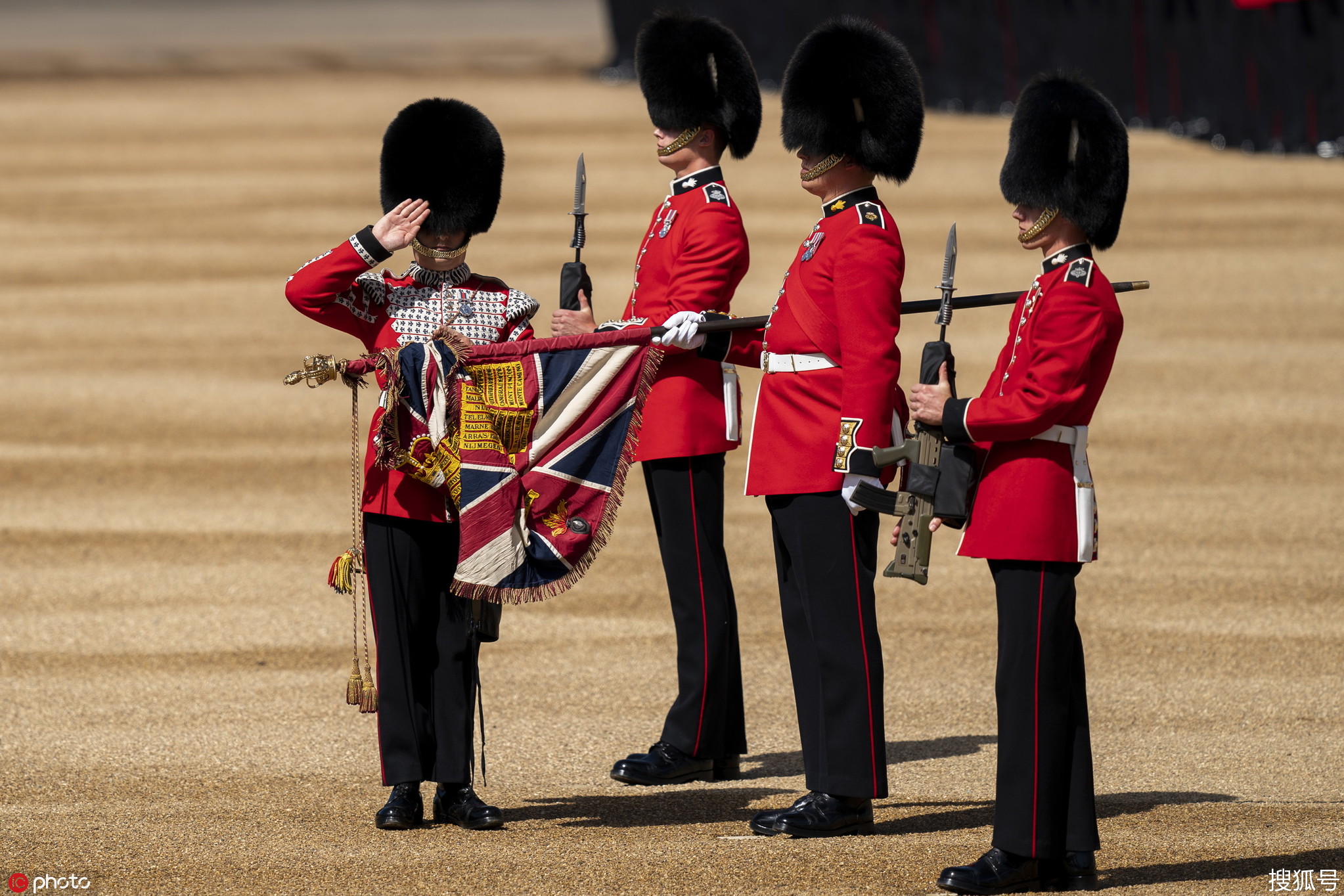 英国皇家卫队的枪图片