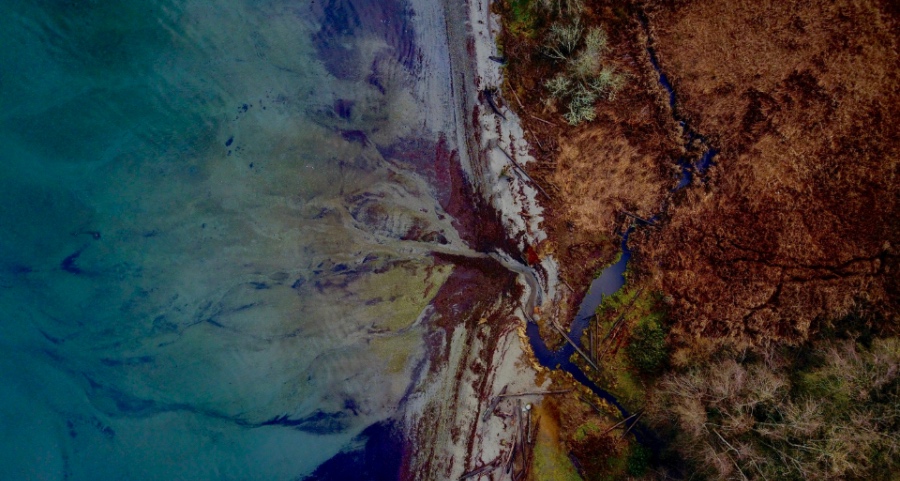 家电业在低迷中折腾，美的海信格兰仕华为康佳酷开上演攻守道-家电圈官网