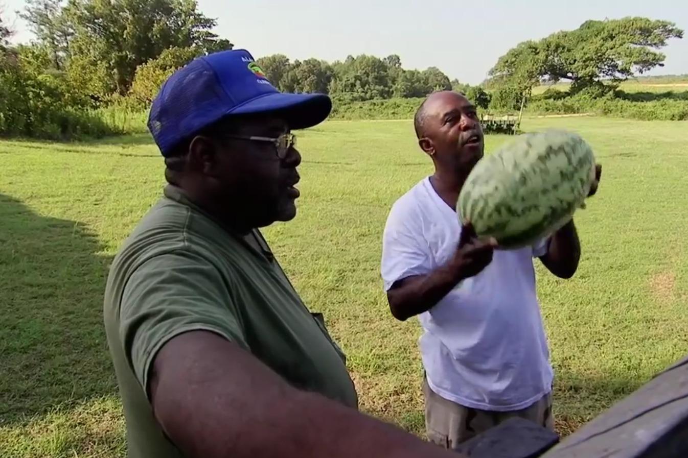 为什么在美国不能随便请黑人吃西瓜看完后真的涨知识了
