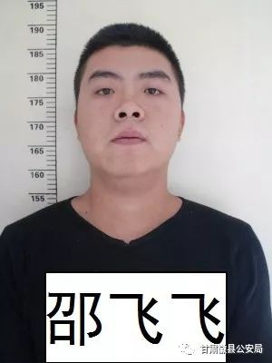 扫黑除恶陇南在行动徽县公安局关于公开征集高魁魁赵延祥等人涉恶犯罪