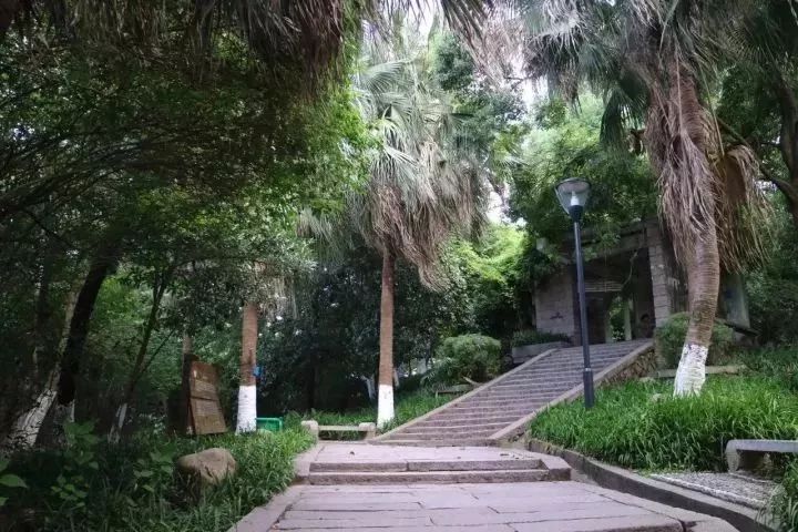 你好靈溪公園山