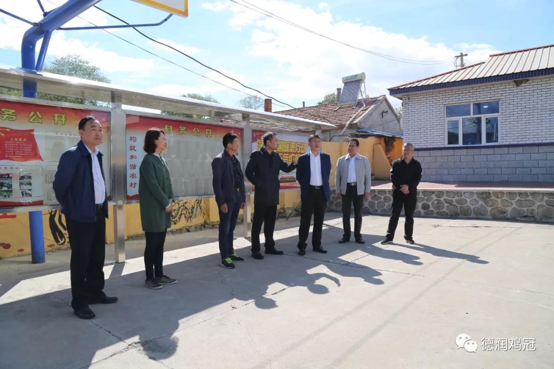 区委书记齐明达到红星乡调研软弱涣散村党组织整顿和扫黑除恶工作