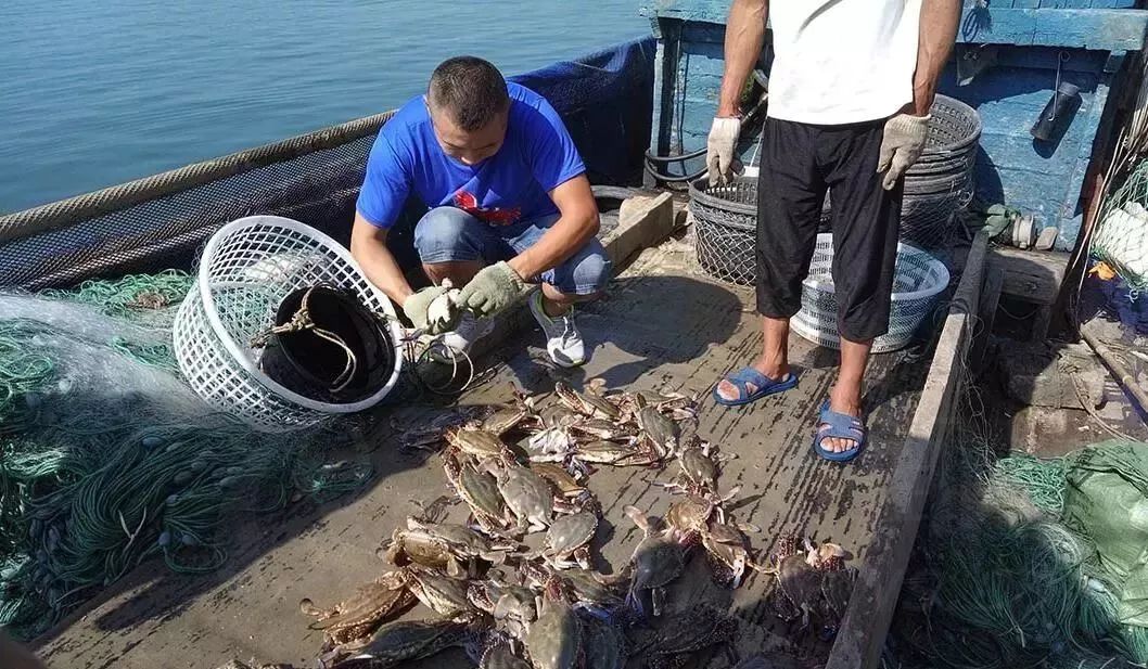 江苏交通广播极速快车道带你出海捕鱼饕餮盛宴