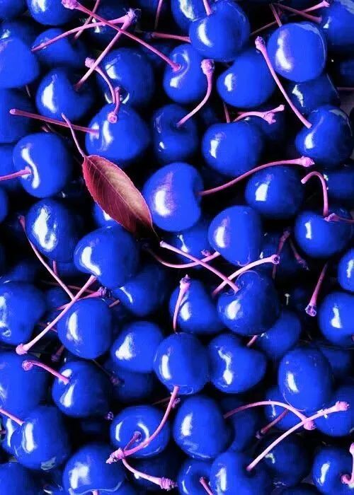 紫色桃子吃过了吗?太惊人了!▲见过紫心番薯,但是没见过紫心萝卜!