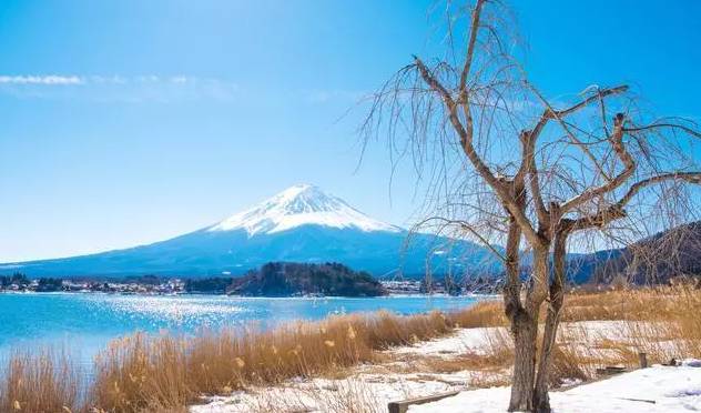 日本富士山的四季原來是這樣的