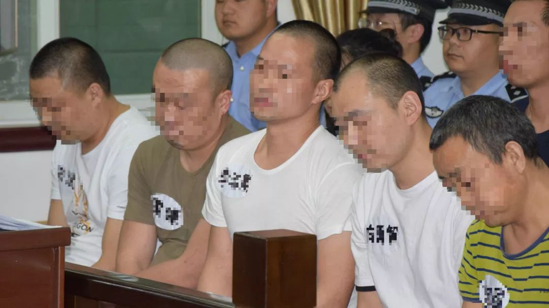 城固涉黑案18小时庭审情况