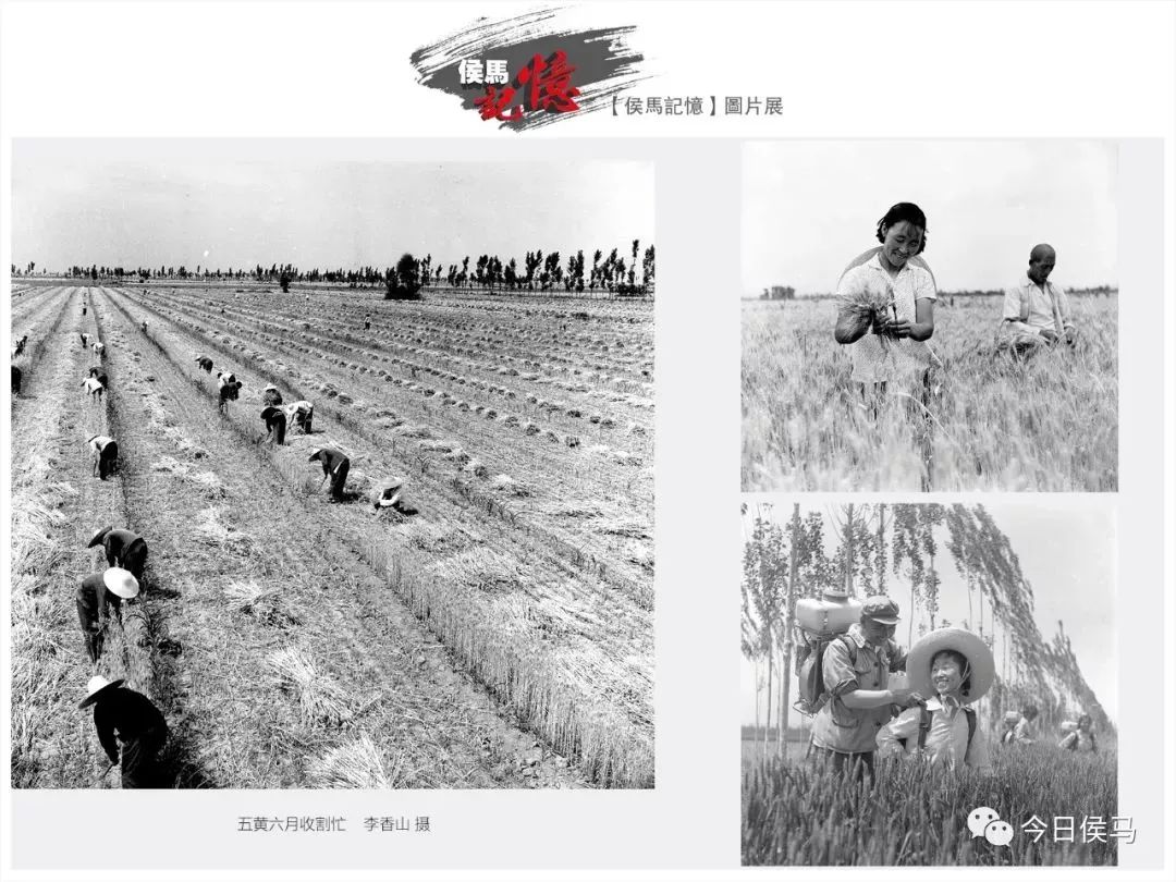 【珍藏】七八十年代侯马农村的照片!看完泪奔