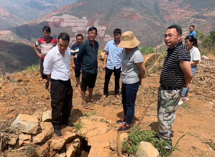 段忠华深入乡镇调研指导防旱抗旱工作
