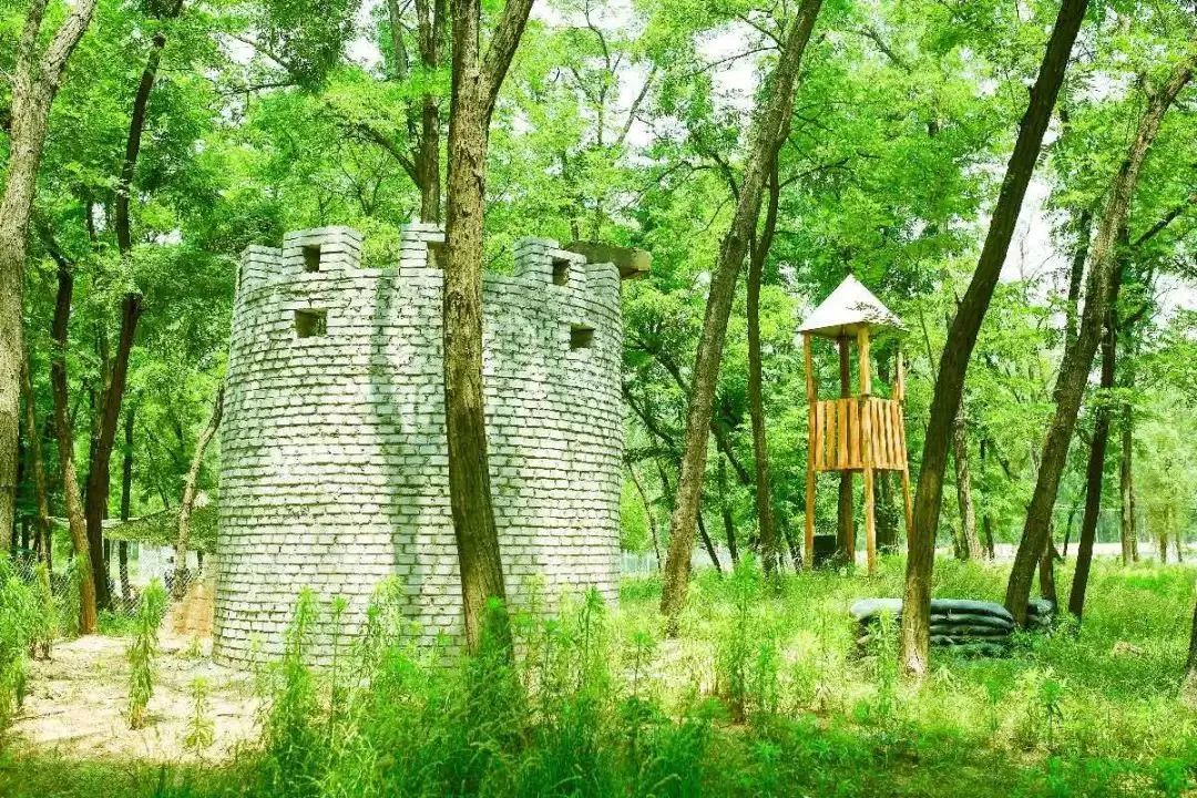 丛林冒险飞跃丛林cs真人版吃鸡