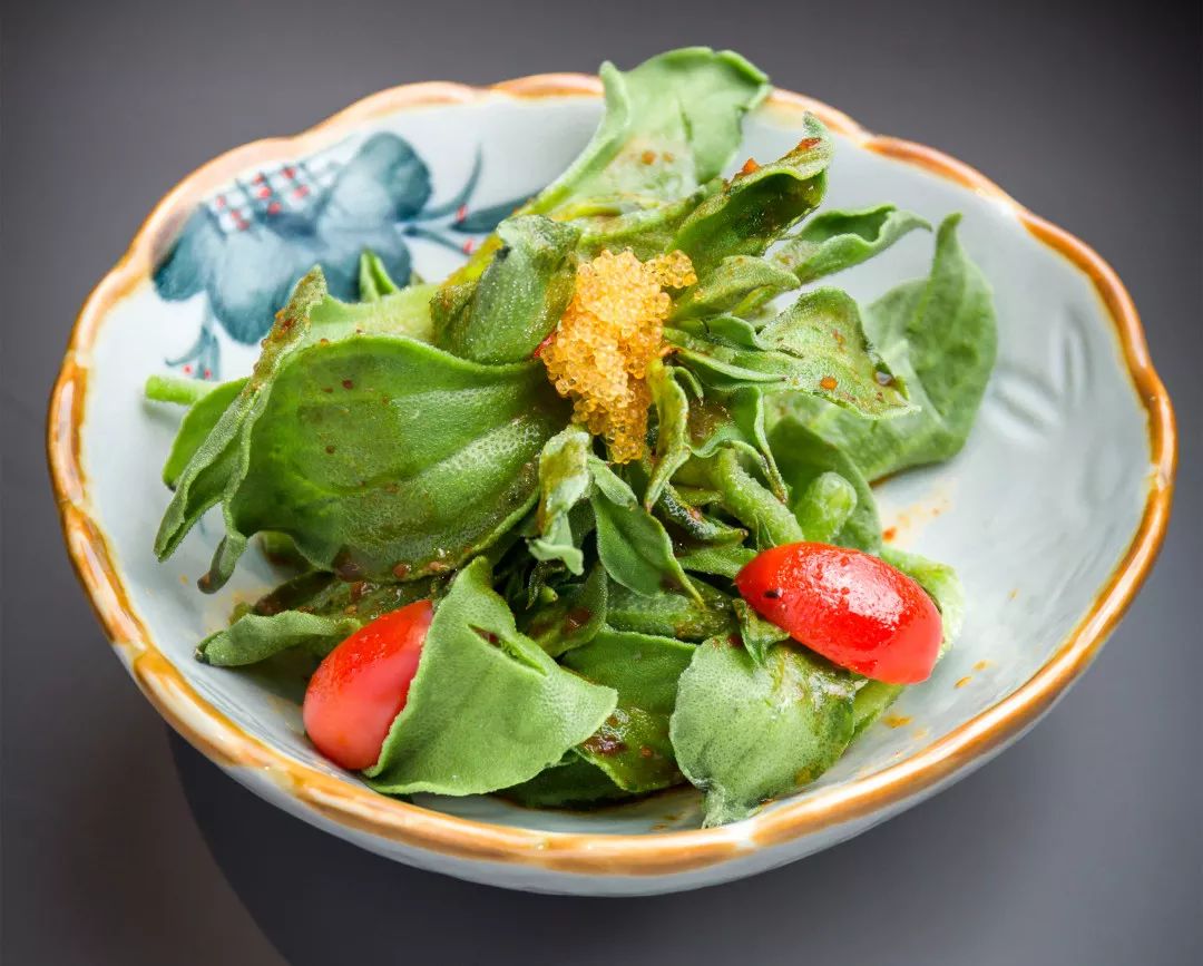 杂谈拾趣亮晶晶透心凉盆栽冰菜绿色种植技术看过来