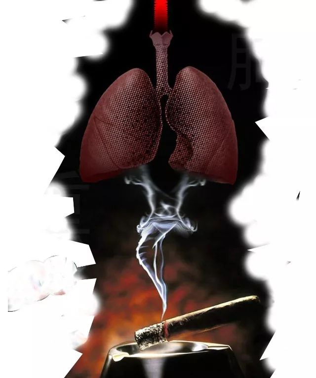 一根烟的故事……_世界卫生组织