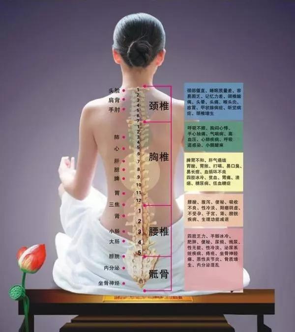 五行背诊面诊没有比这个更全的了