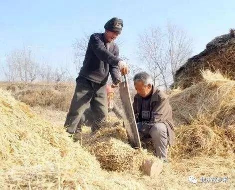 古老打麦子的工具,推麦子工具图片大全,麦衫收麦工具_大山谷图库