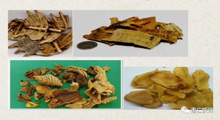 君臣佐使——中医方剂学_中药