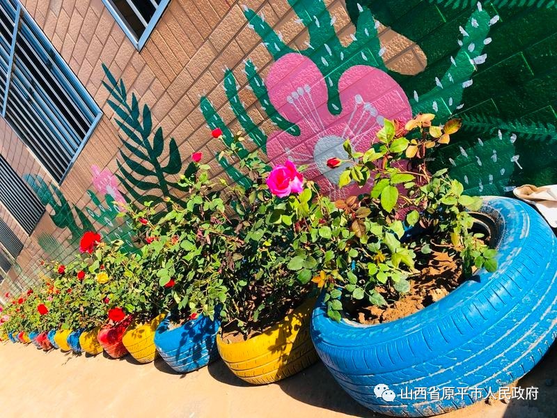 原平市第三幼儿园举行轮胎创意种植大赛