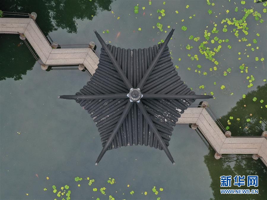 这是5月9日无人机拍摄的苏州狮子林.