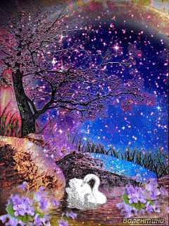 动态水中花太美了