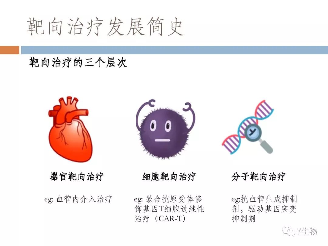 靶向治疗丨肿瘤靶向治疗药物概述