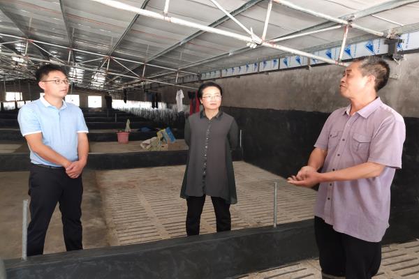 每到一户,马新菊都仔细察看了解房屋透风漏雨整治情