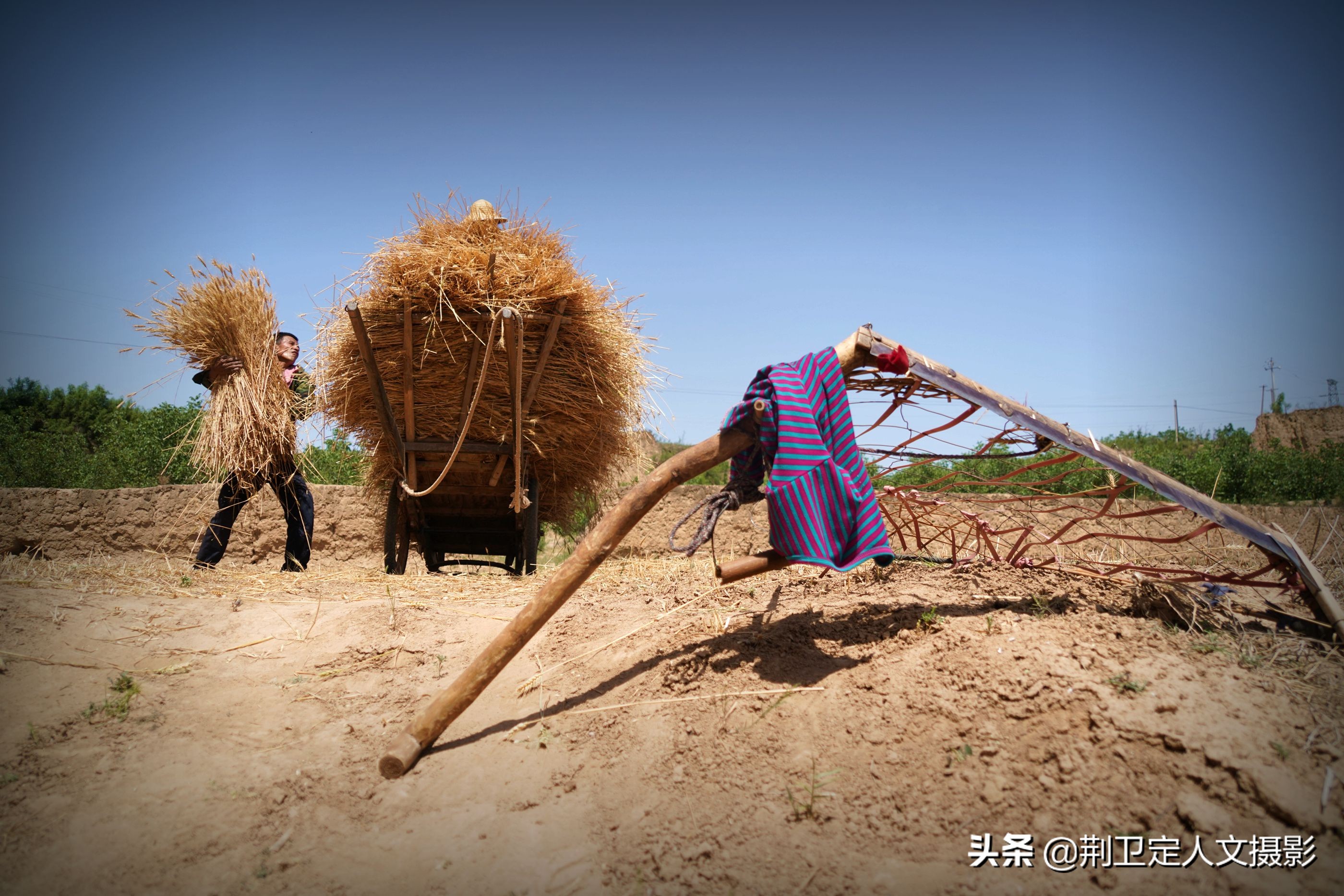 38度高温天,农村84岁老人帮儿子装麦车3小时,想完成1个心愿