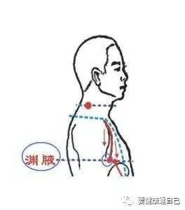 阳纲的准确位置图作用图片