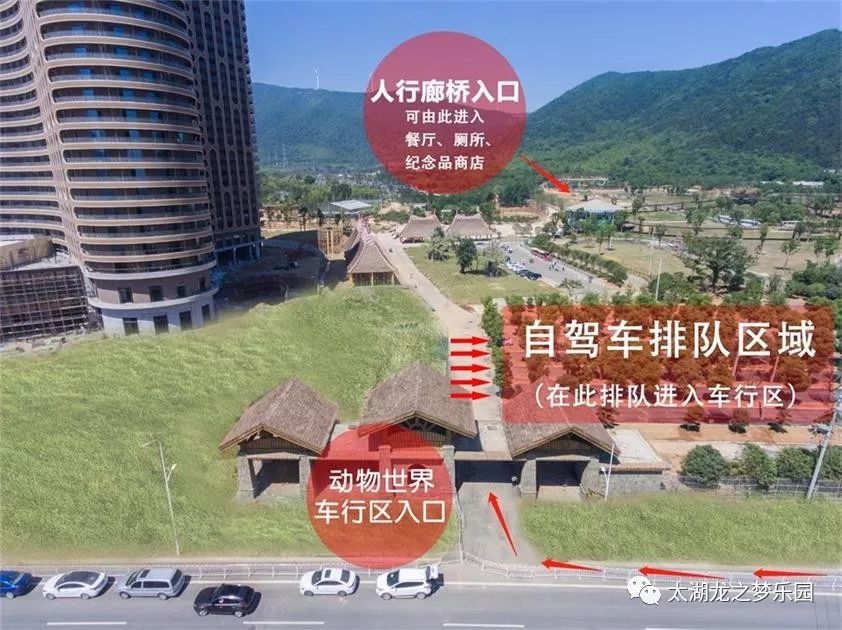 太湖龙之梦动物世界车行区端午半价特惠赶快来预订吧