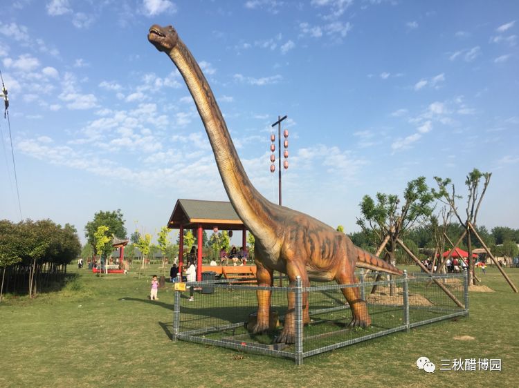 1024围观端午佳节哪里去三秋醋博园又有新动态啦文末有福利哦