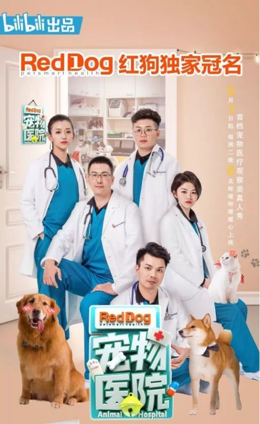 动物版人间世宠物医院这部纪录片你不哭算我输
