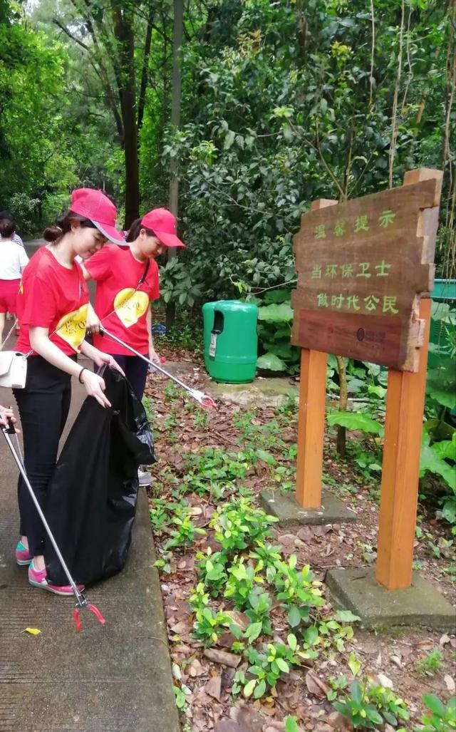 凯盈集团践行社会责任以行动坚守环保公益