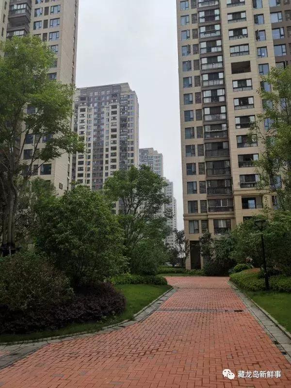 原创堵心网友爆料江夏藏龙岛一小区幼儿园噪音扰民谁来管