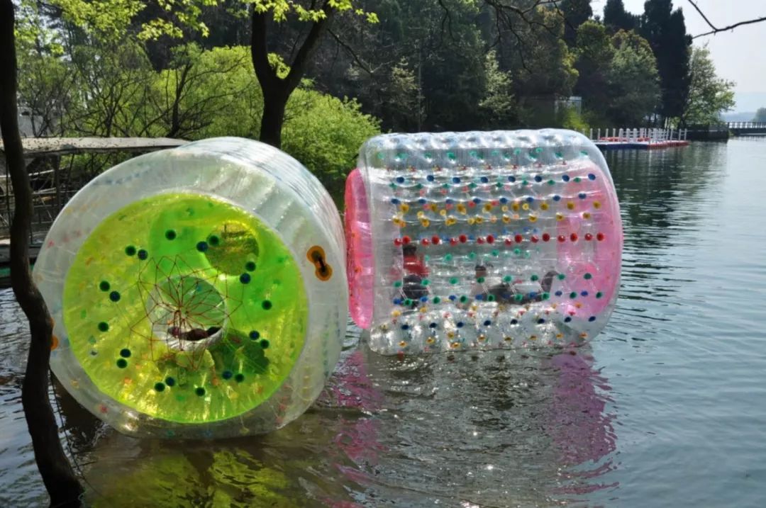 狮子老虎统统来了万佛湖首届马戏嘉年华开幕啦