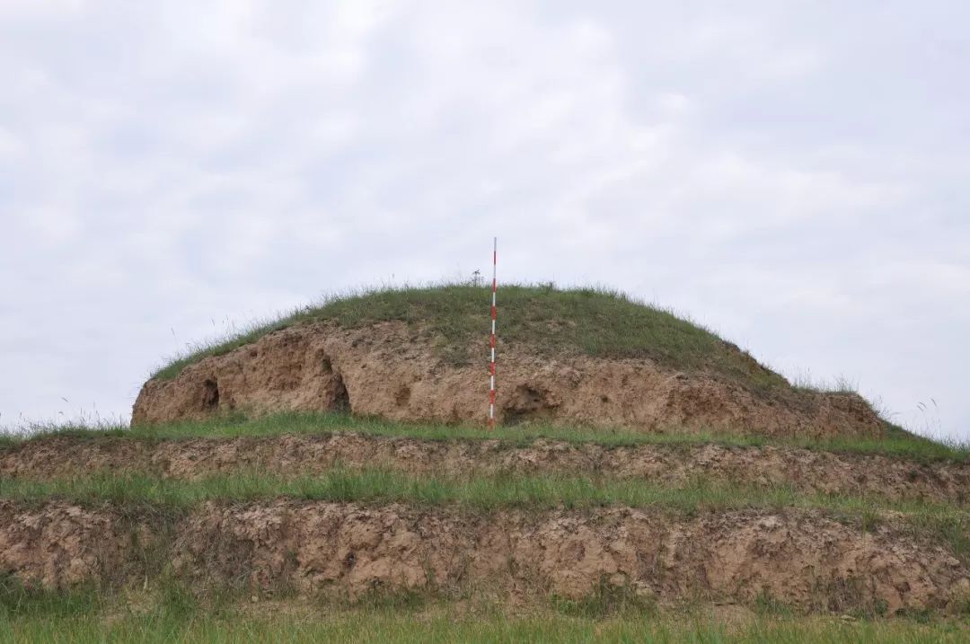 战国秦长城通渭段