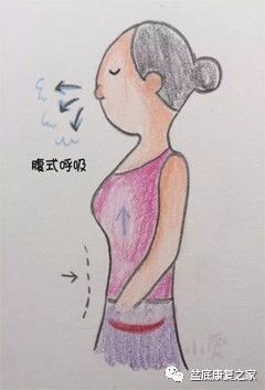 腹式呼吸腹式呼吸以膈肌运动为主,吸气时胸廓的上,下径增大.