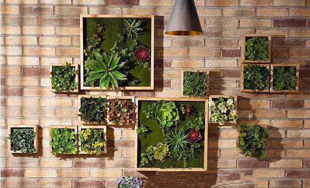 你对仿真植物墙应用真的了解吗