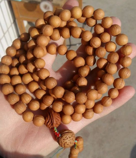 从路边摘的榆叶梅盘了4年红得太漂亮了