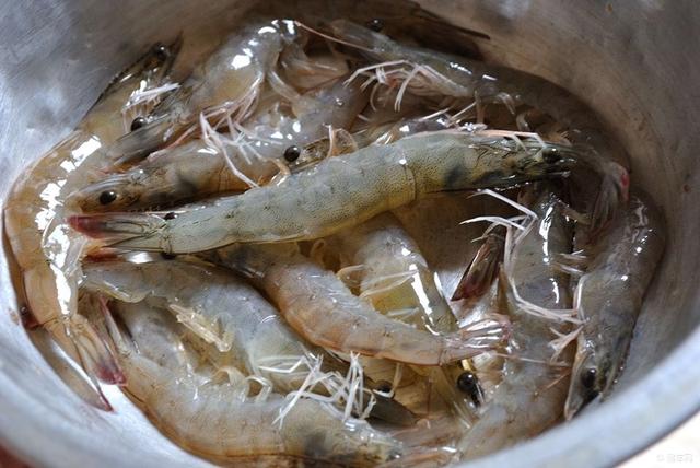 原创吃虾时虾头里面是精华还是屎很多人搞错闹笑话了