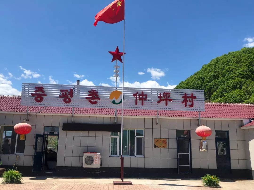 百草沟镇仲坪村,这个村主任实在是高!