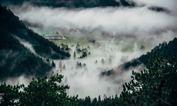 厨电市场彻底跌入泥潭,A面日子难过B面前景广阔?-家电圈官网