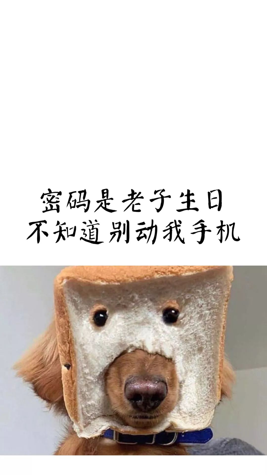 锁屏壁纸密码是老子生日系列锁屏壁纸