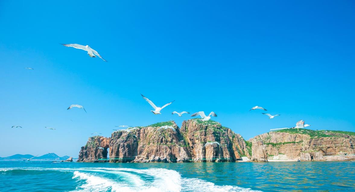 海驴岛2021图片