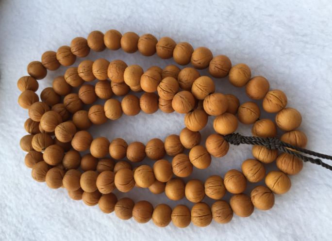 每一年榆叶梅果实下树都有玩友采摘来做成手串但后来很多人都没有坚持