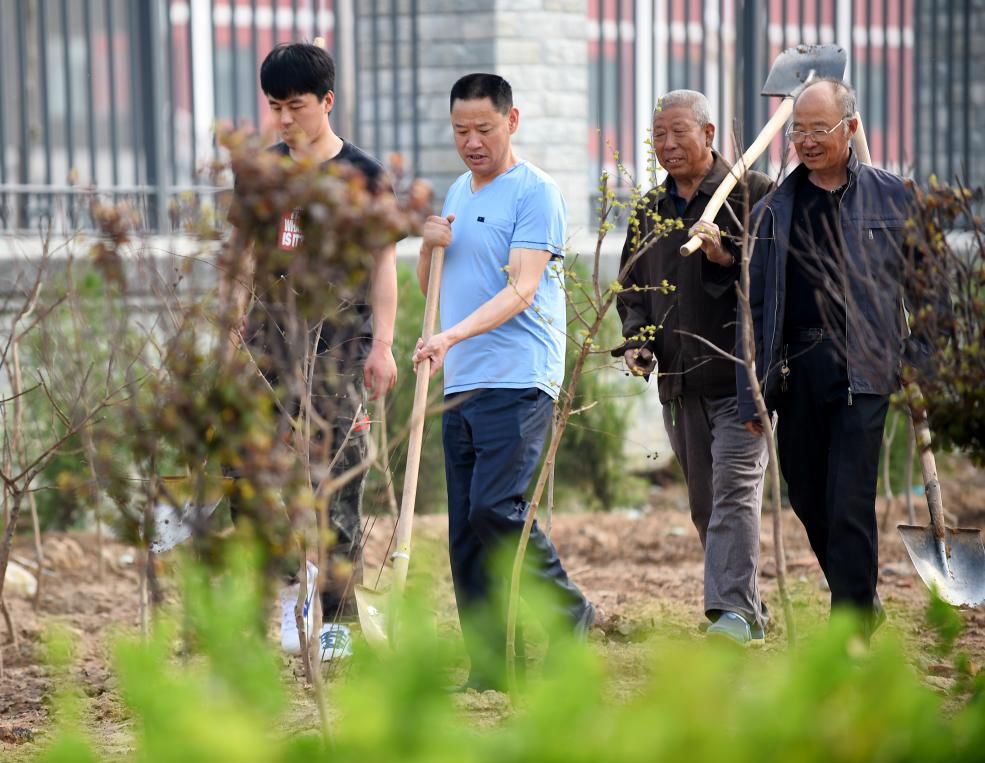 宁晋县宁小五图片