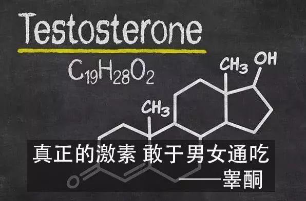女生也有睾酮主要由男性的睾丸或女性卵巢分泌是肌肉生长的关键最重要