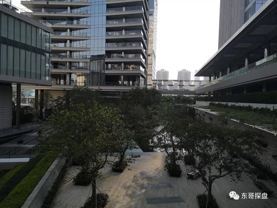 深圳湾1号实拍 这是上海豪宅汤臣一品的车库